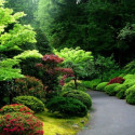 Wonderful Garden, Portland, Oregon