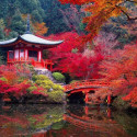 Daigo-ji Temple in Autumn, Kyoto, Japan