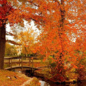 Autumn, Lake Carasaljo, New Jersey, USA