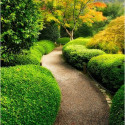 Portland Japanese Garden, Oregon, USA