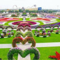 Dubai Miracle Garden, UAE