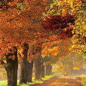Wonderful Autumn in Vermont, USA