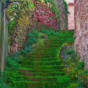 Moss Stairs, Sardinia, Italy
