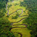 Meandering River in the Congo, River Zaire, Africa