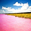 The Pink Lake, Lake Retba, Senegal