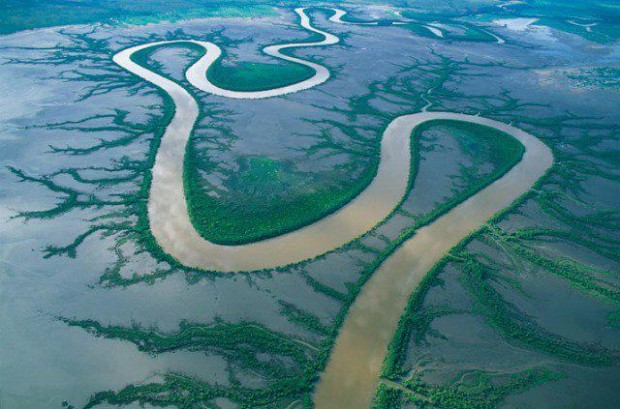 Australia, River snakes through coastal mudflats