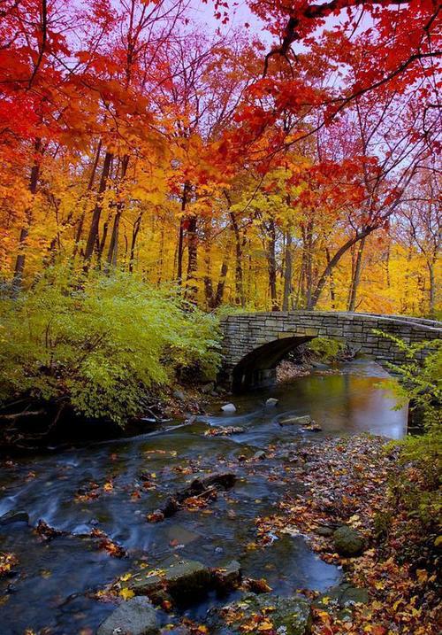 Autumn Bridge, Chicago, Illinois, USA