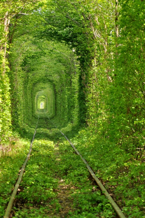 Train tunnels in the Enchanting Forest, Ukraine