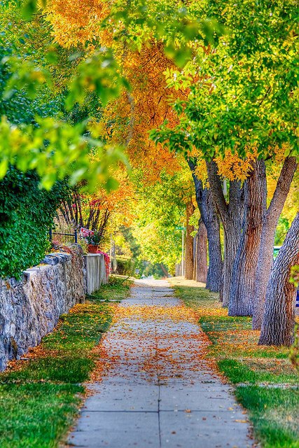Autumn Sidewalk, Helena, Montana