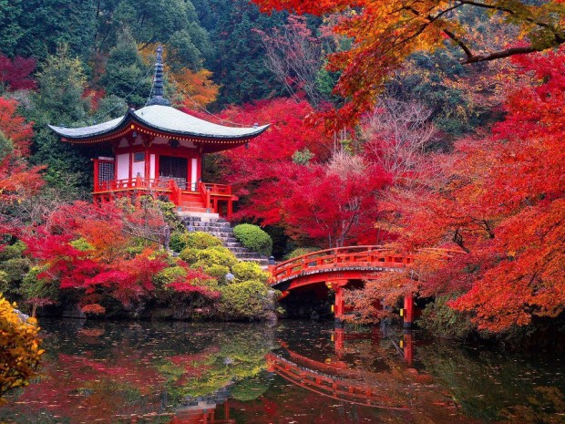 Daigo-ji Temple in Autumn, Kyoto, Japan