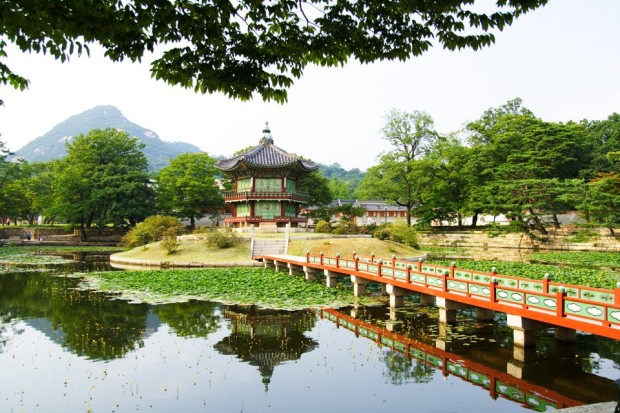 Wonderful Place , South Korea