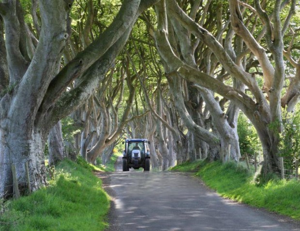 Beautiful Road in Ireland