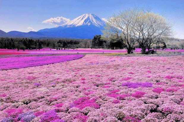 Mount Fuji, Japan