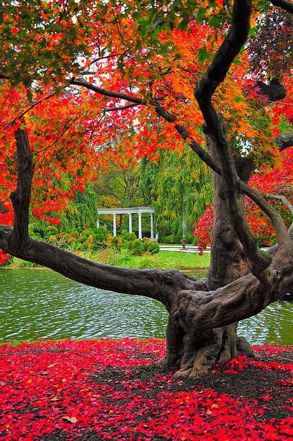 Old Westbury Gardens, Nassau, New York, USA