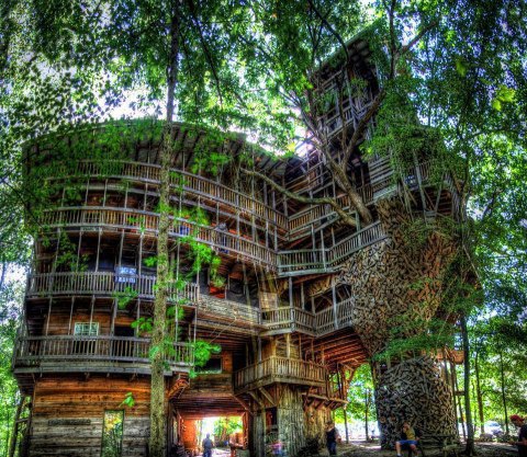 The world's largest tree house is located in Crossville, Tennessee, USA