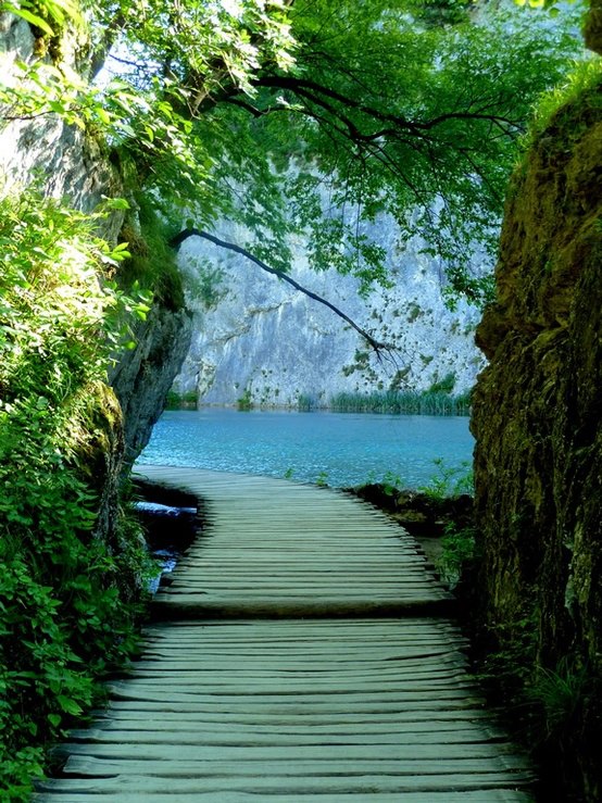 Amazing Path in Plitvice Lakes National Park , Croatia