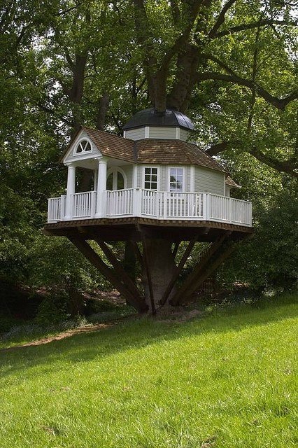 Awesome Tree House