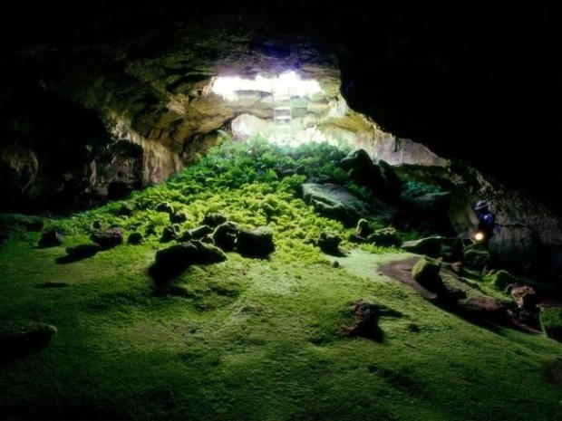 Lava Tube Caves In Tulelake, California, USA