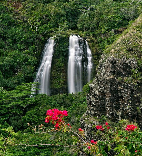 Opaeka'a Falls, Hawaii