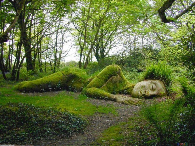 Sleeping Slinky at the Lost Gardens of Heligan , England
