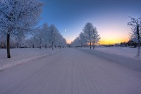 Snow Sunset , Sweden