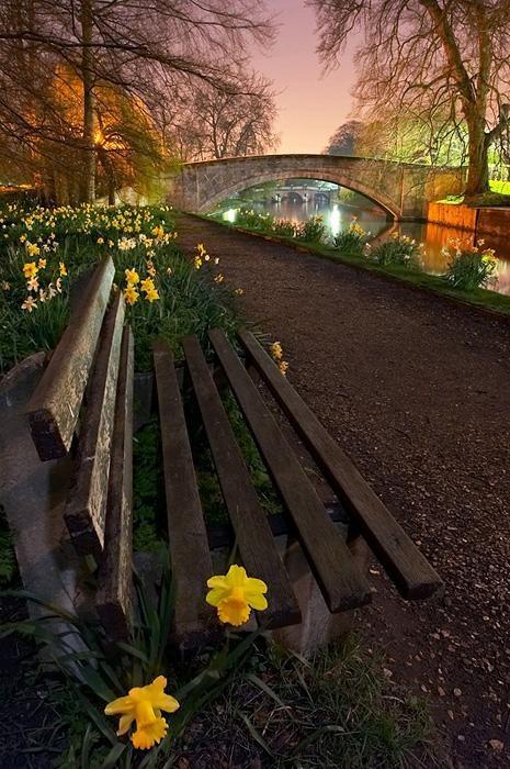 Spring evening in Cambridge, England