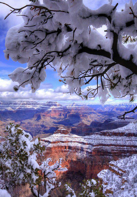 The Grand Canyon in Winter , USA
