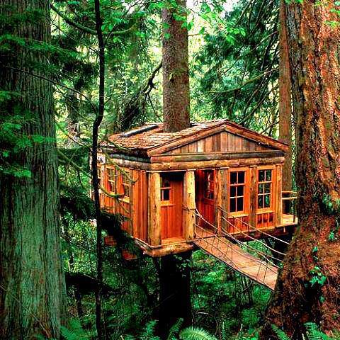 Treehouse , Port Washington , Oregon, USA