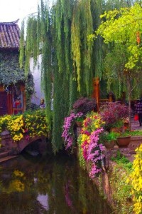Weeping Willow Bridge, Yunnan, China