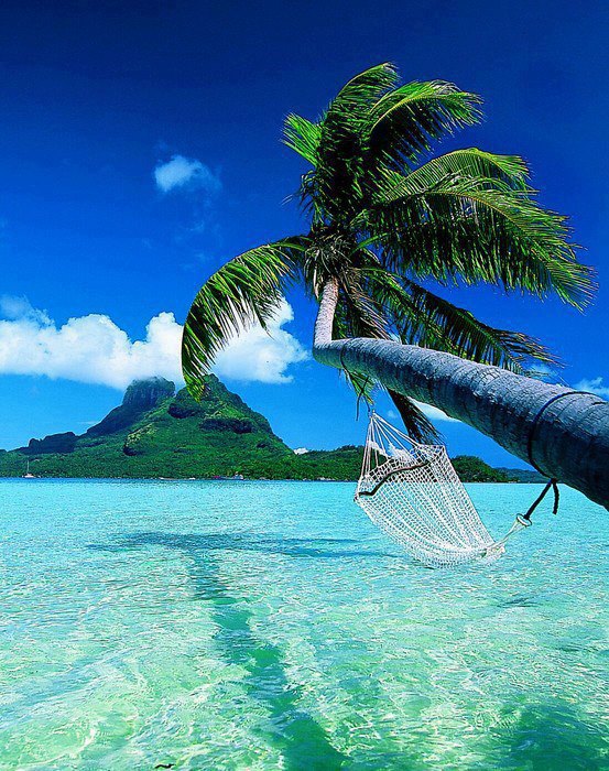 Bora Bora Island Paradise On The Earth