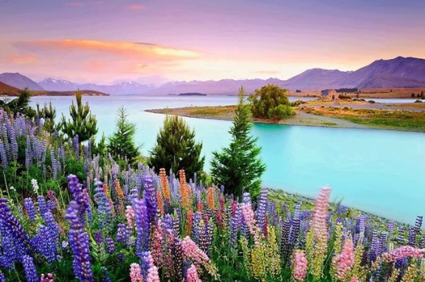 Lake Tekapo , New Zealand