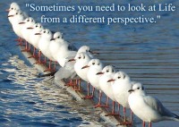 Sometimes you need to look at Life from different perspective