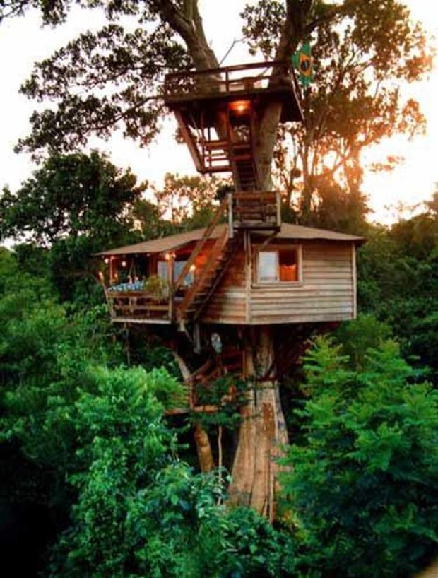 Wonderful TreeHouse in Brazil