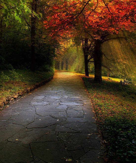 A Wonderful Place to Walk in Autumn