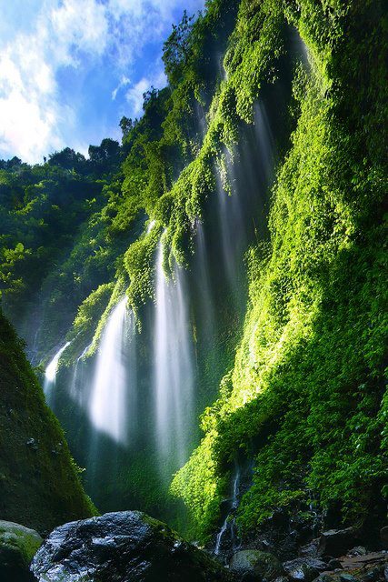 Madakaripura Waterfall , East Java , Indonesia