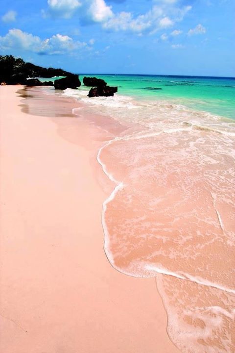 Pink Sand Beach, Bermuda, England