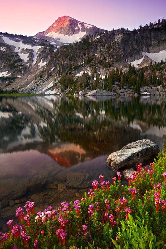 Mirror Lake Sunrise, Rainier National Park, USA