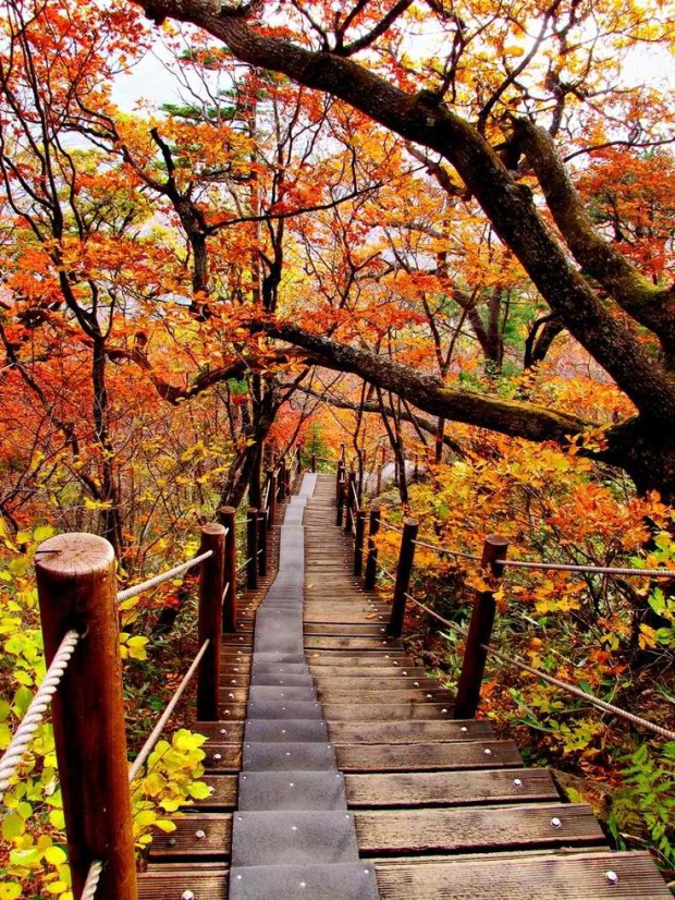 Autumn in South Korea