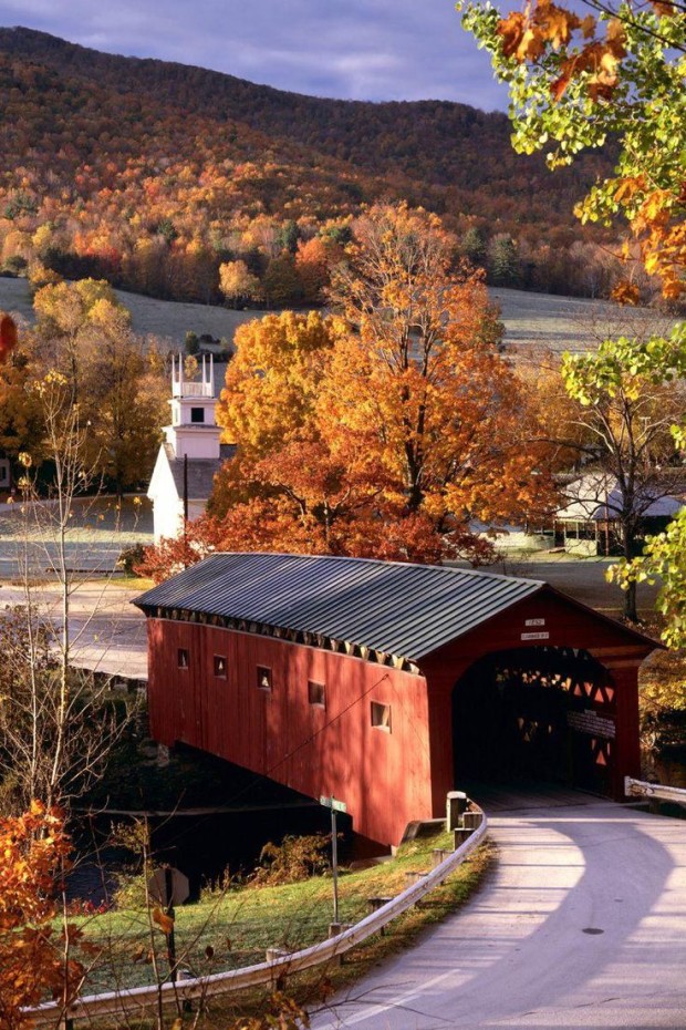 Country Road and old covered bridge in Autumn