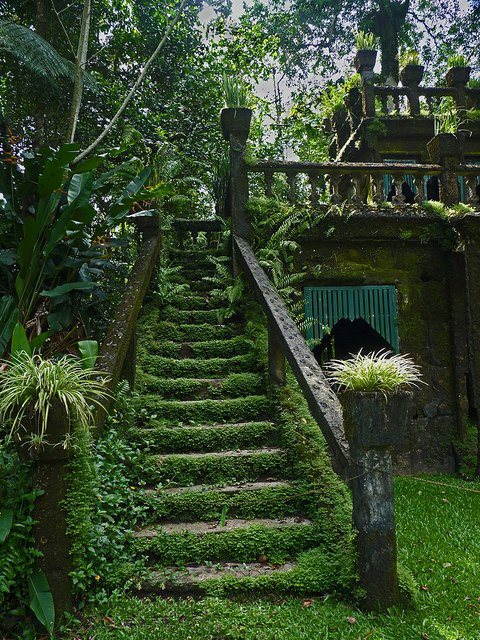 Mossy stairways in Paronella Park , Queensland , Australia