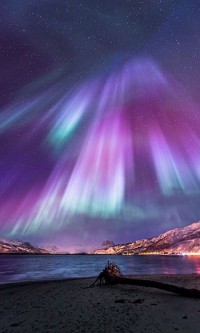 Aurora Night, Northern Norway