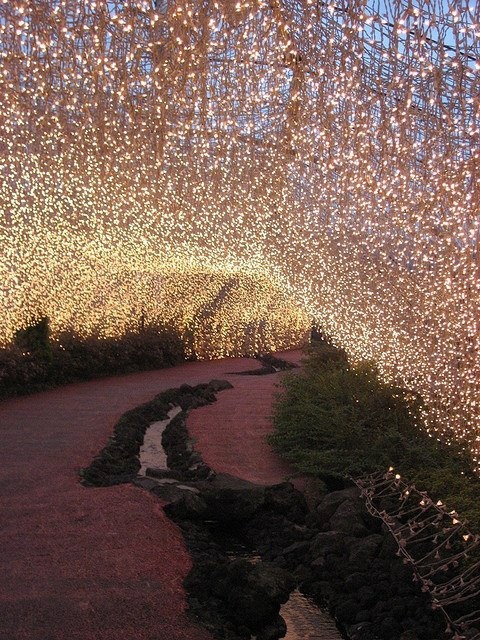 Fairy lights in Japan