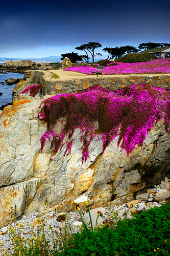 Lover's Point, Pacific Grove, California, USA