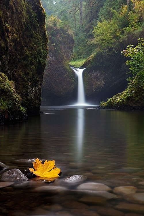 Punch Bowl Falls - Columbia River Gorge National Scenic Area, Oregon, USA
