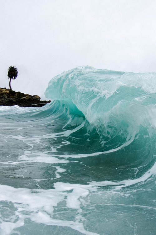 Amazing Wave