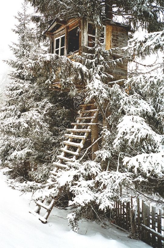 Tree House in Snow