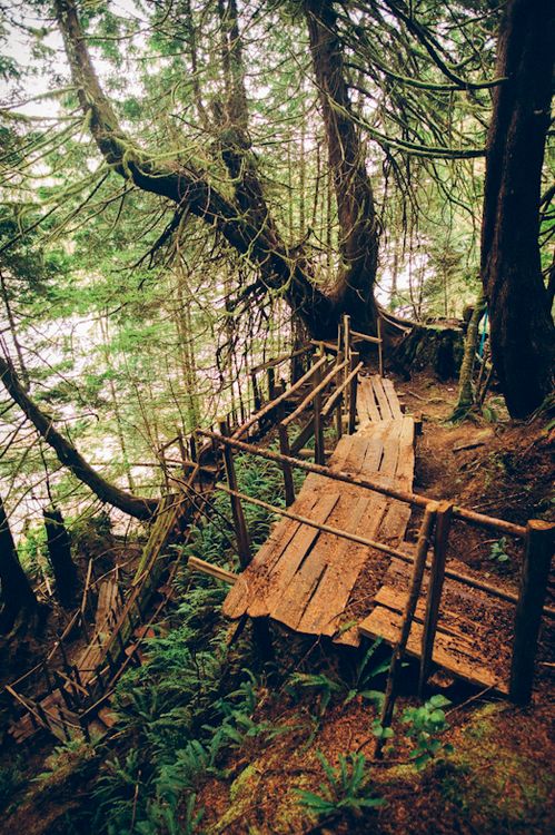 Wooden Path, British Columbia, Canada