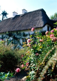 Cottage in Stradbally, Co Waterford, Ireland