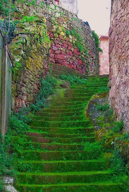 Moss Stairs, Sardinia, Italy