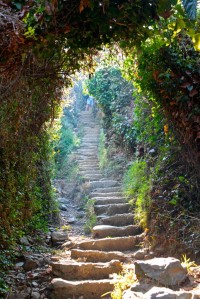 Trails, Cinque Terre, Italy